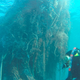 Illustration for article titled Divers Remove 57 Tons Of Junk From Hawaii's Northwestern Islands